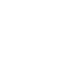 Vitze Home Logo